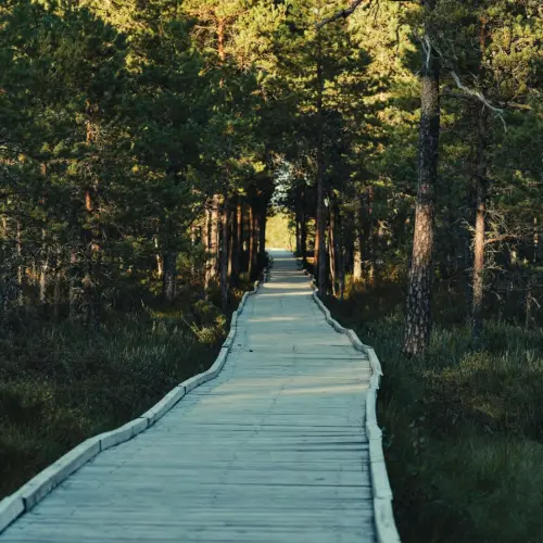 Nature trail at The Oryza